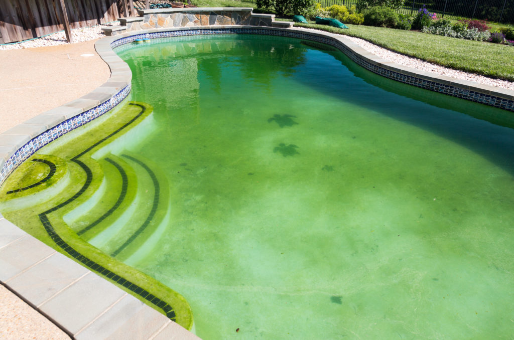 Piscina verde