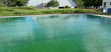 Piscina Verde