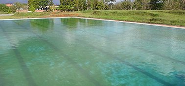 Piscina verde decantada